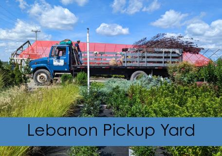 Lebanon Pickup Yard