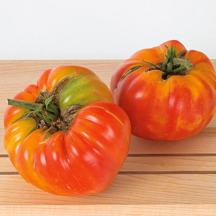 Tomato Striped German