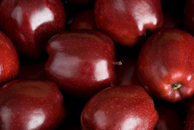 Malus X Red Delicious