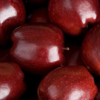 Malus X Red Delicious