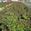 View Current Crop Photo