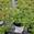 View Current Crop Photo
