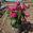 View Current Crop Photo