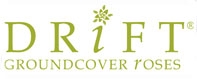 Drift Roses Drift Roses